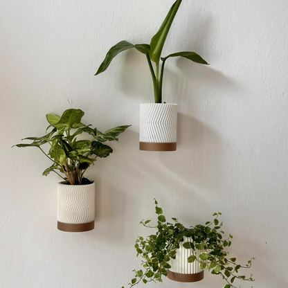 WALL PLANTER